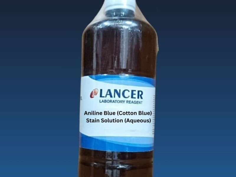 Aniline Blue (Cotton Blue) Stain Solution (Aqueous)-Lancer