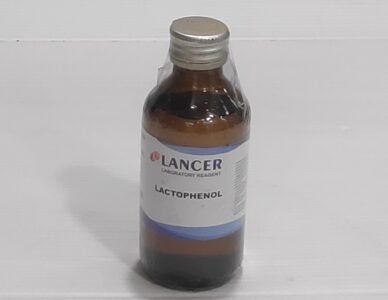 Lactophenol in Cotton Blue-Lancer
