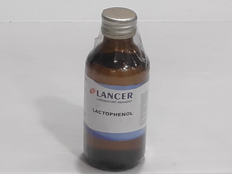 Lactophenol in Cotton Blue-Lancer
