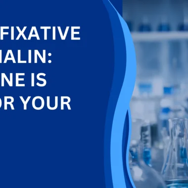 What is Lycopodium Powder? The Science, Uses, and Amazing Benefits You Need to Know