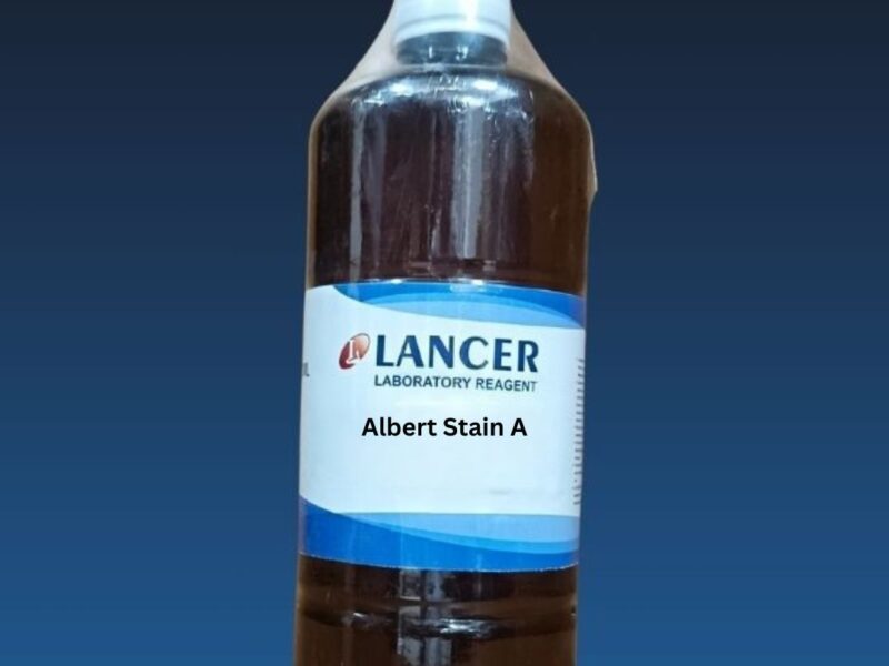 Albert Stain A-Lancer