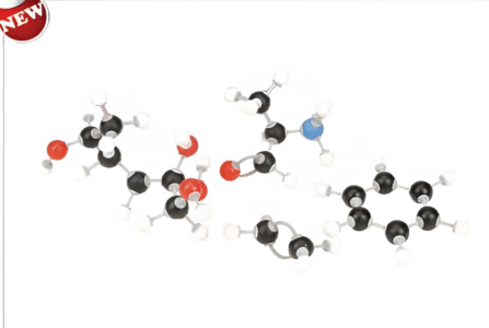 Molecular Model Set-Biochemistry Set-Student-Polylab
