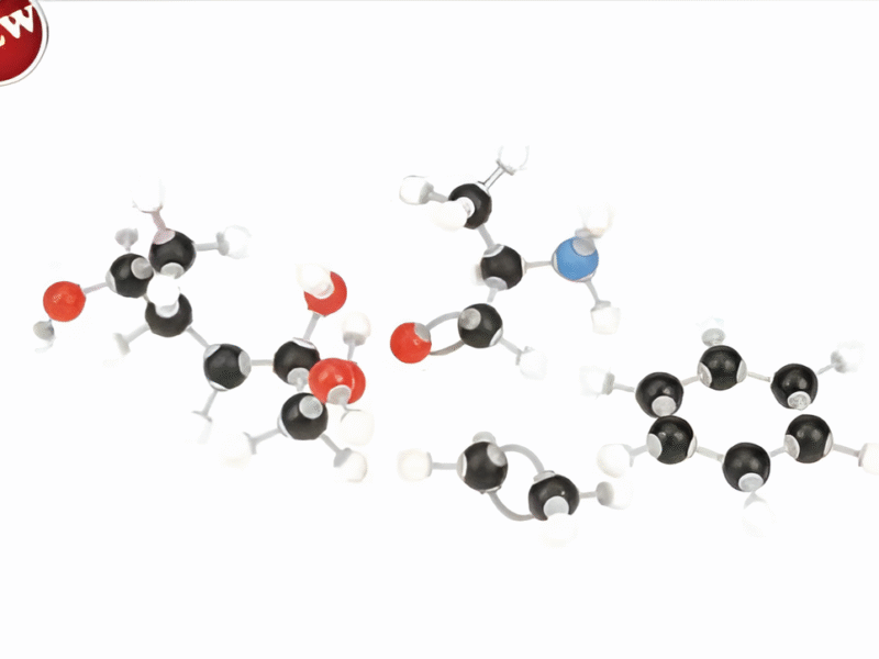 Molecular Model Set-Biochemistry Set-Student-Polylab
