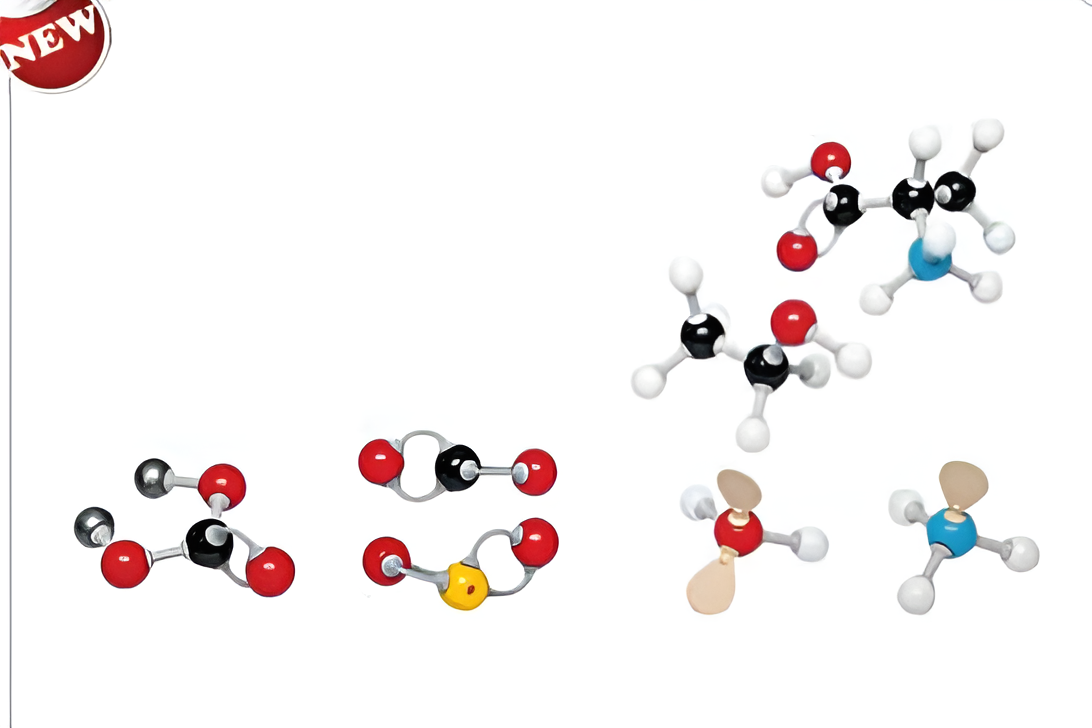 Molecular Model Set-Inorganic Organic Set-Student-Polylab