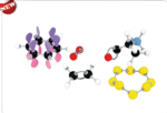 Molecular Model Set-Organic Stereochemistry Set-Teacher-Polylab