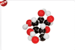 Molecular Model Set – Glucose (C6H12O6)-Polylab