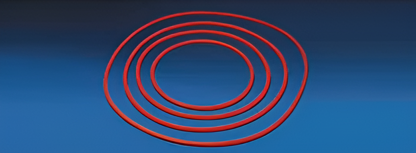 Silicon “O” Ring For Desiccator-Polylab