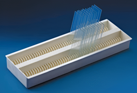 Slide Draining Tray-Polylab