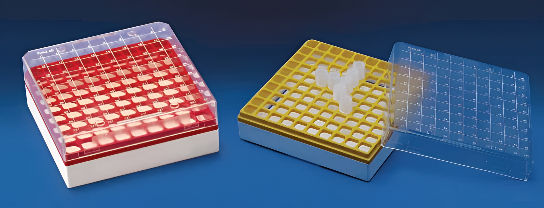 Cryo Box (P.C)-Polylab