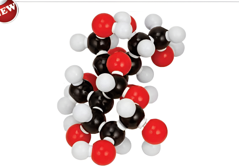 Molecular Model Set m- Sucrose (C12H22O11)-Polylab