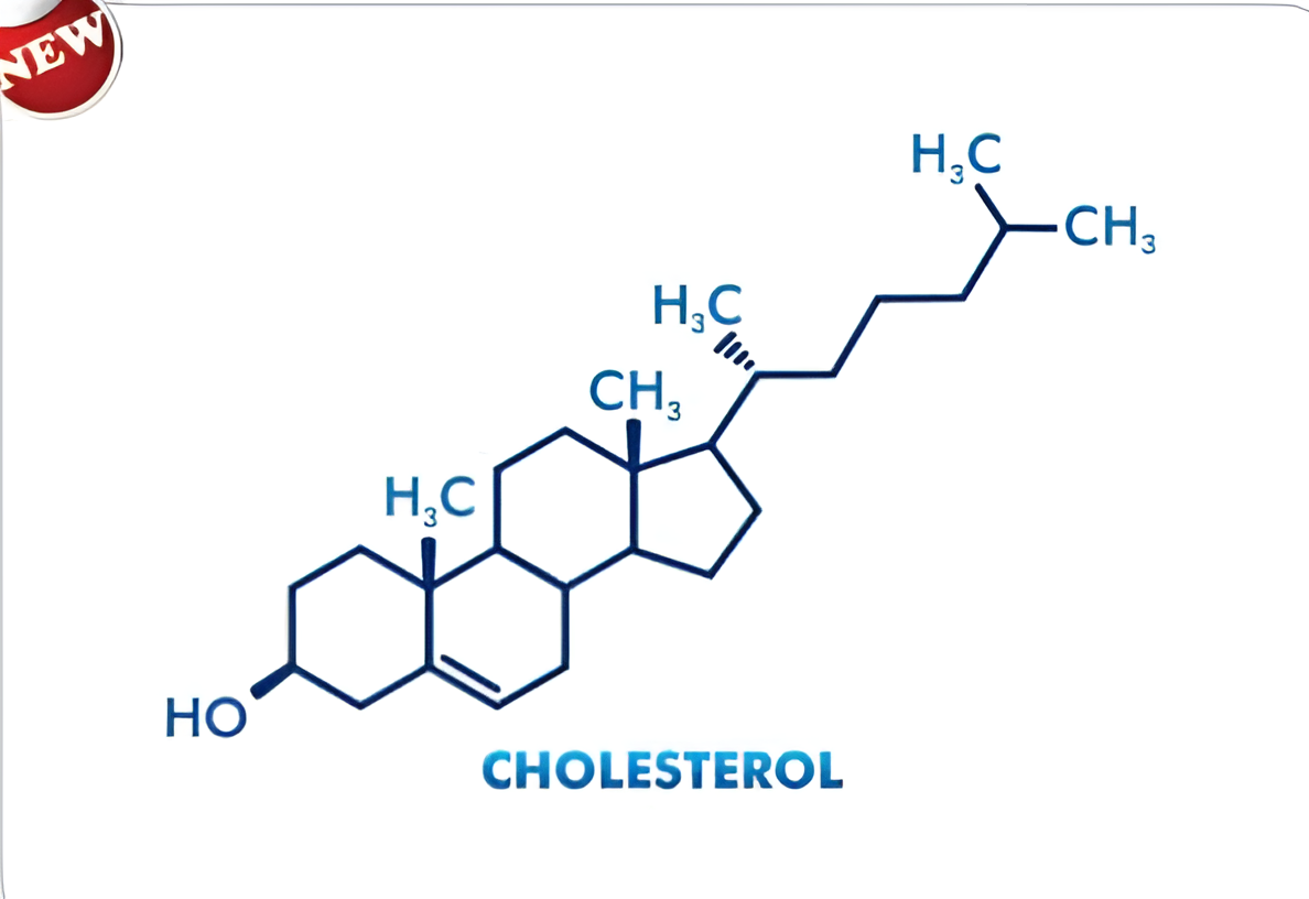 Molecular Model Set – Cholesterol (C27H46O)-Polylab