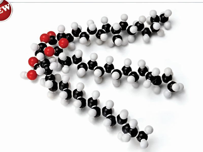 Molecular Model Set – Fat (Glyceryl Tristearate) (C57H110O6)-Polylab