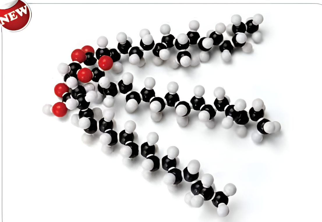 Molecular Model Set – Fat (Glyceryl Tristearate) (C57H110O6)-Polylab