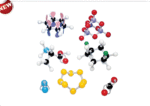Molecular Model Set – Inorganic / Organic Set – Teacher-Polylab