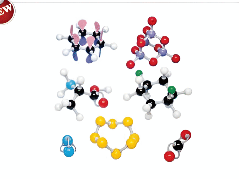 Molecular Model Set – Inorganic / Organic Set – Teacher-Polylab