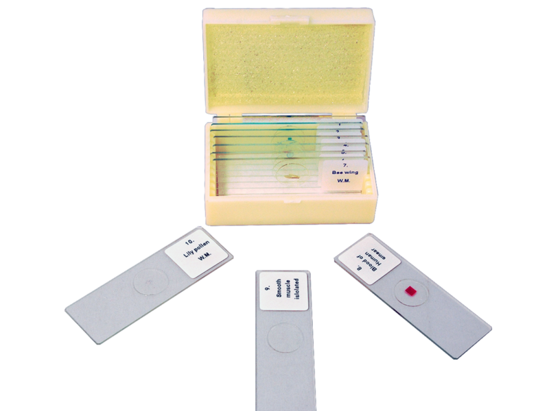Prepared Microscope Slides