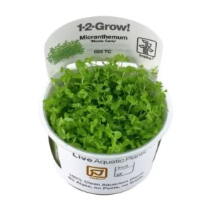 Aquatic Plants