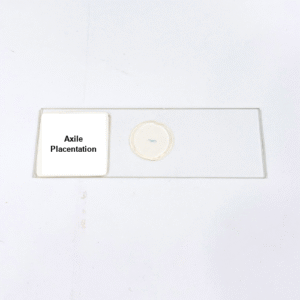 Axile Placentation