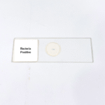 Bacteria Positive