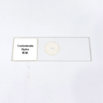 Coelenterata Hydra W.M.