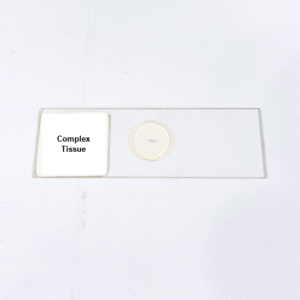 Complex Tissue