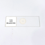 Culex Larva (Mosquito) W.M.