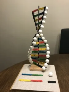 DNA