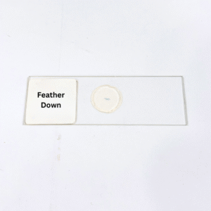 Feather Down
