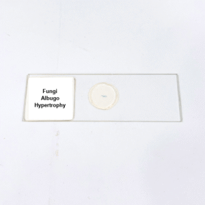Fungi Albugo Hypertrophy