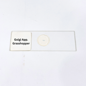 Golgi App. Grasshopper