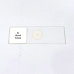 H. Blood Smear
