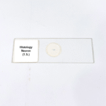 Histology Neuron (T.S.)