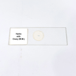 Hydra with Ovary (W.M.)