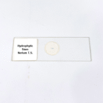 Hydrophytic Stem Nerium T.S.