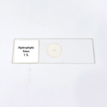 Hydrophytic Stem T.S.