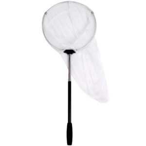 Insect Net
