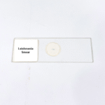 Leishmenia Smear