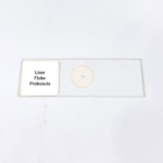 Liver Fluke Proboscis