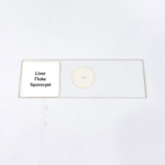 Liver Fluke Sporocyst