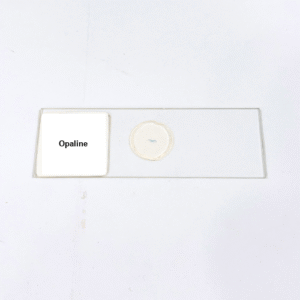 Opaline