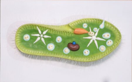 Paramecium