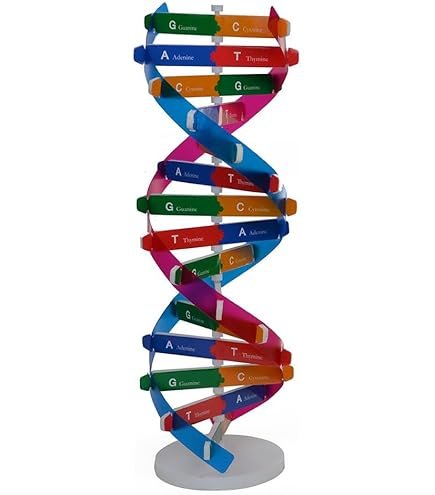 RNA - Double Helical