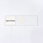 Sperm Smear