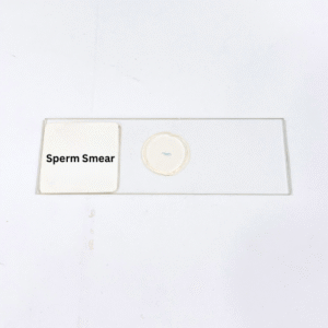 Sperm Smear