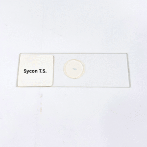 Sycon T.S.