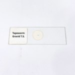 Tapeworm Gravid T.S.