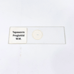 Tapeworm Proglottid W.M.